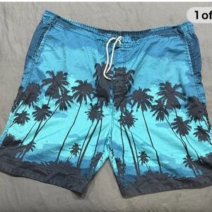 Paradise Collection Blue Island Swim Trunks